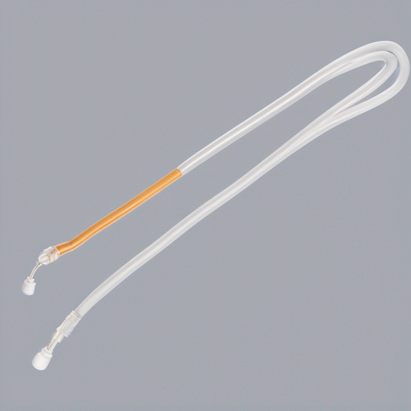 CH12 Foley Catheter - Masterclass in Efficient Urinary Drainage